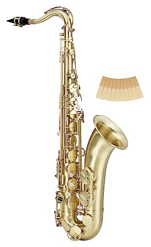Classic Cantabile Winds TS 450 Brushed Bb Saxofón Tenor   Afinación Bb   Llave de Fa# alta   Set Ahorro con 10 Cañas para Saxofón, Grosor 2.0
