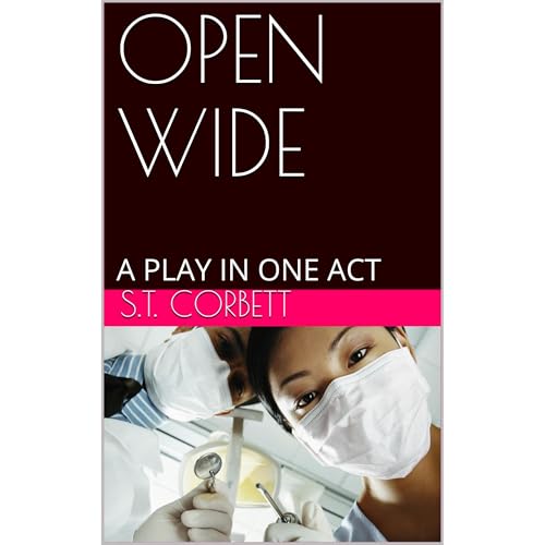 OPEN WIDE Audiolibro Por S.T. Corbett arte de portada