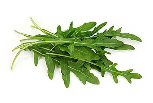 1 g / 600 Semi di rucola