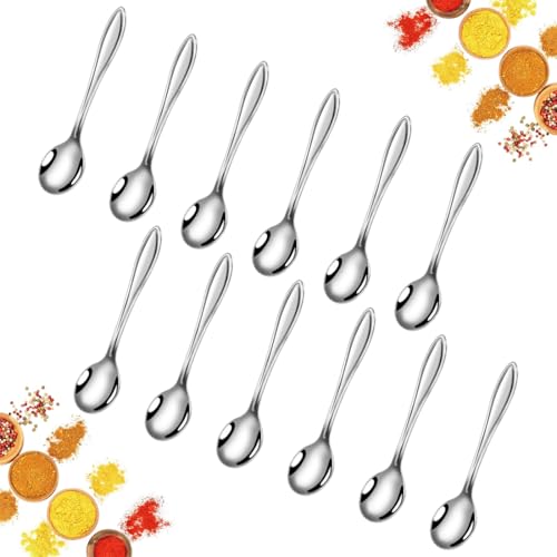 YAYNO 12 Pièces Mini Cuillères en Acier Inoxydable Petites Cuillère À Café 9,5 cm Petites Cuillères pour Épices Sel Sucre Miel Condiments Cuillère à Café et Sauce