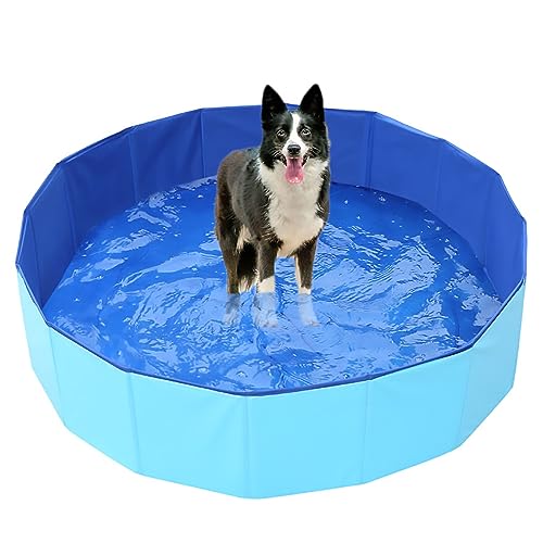 IPT 折りたたみ プール 160×30cm Lサイズ ペット 犬用 お風呂 ペットバス 子ども用 水遊び 折り畳み 持ち運び 栓付き 空気入れいらず じゃばら プール遊び ボールプール おもちゃ 夏用品 ◇KY-YC004-L-BL