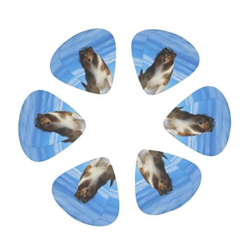 Ensemble de 12 médiators de guitare pour chien Shetland mignon pour guitare acoustique, guitare électrique, contrebasse… - Les Beatles, Paul McCartney, John Lennon, RIngo Starr, George Harrison Ensemble de 12 médiators de guitare pour chien Shetland mignon pour guitare acoustique, guitare électrique, contrebasse… – Image 3