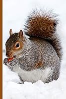 Winter Wonderland - Squirrel Eating a Nut in the Snow: Wide Ruled Notebook 1731156391 Book Cover