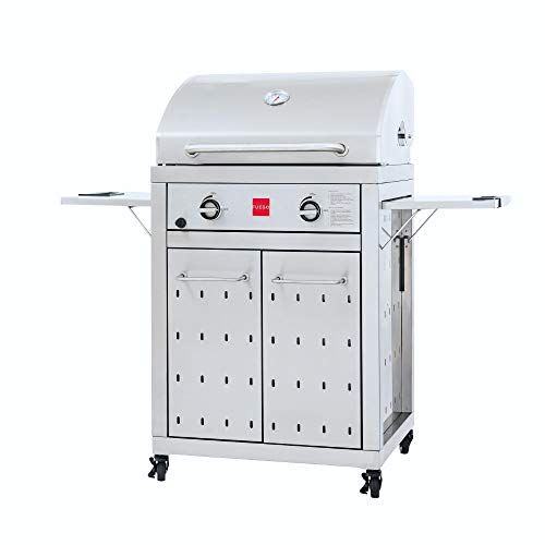 Fuego F27S 27" Stainless Steel Gas Grill Review Best Grill Reviews