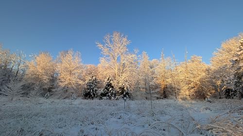 Episode 16 | The Art of Dialing In: Why You Might Be Giving Up Without Even Turning the Knob