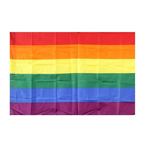 BANDERA GAY O LGBT IDEAL PARA EL DIA DEL ORGULLO GAY DE COLOR ARCOIRIS