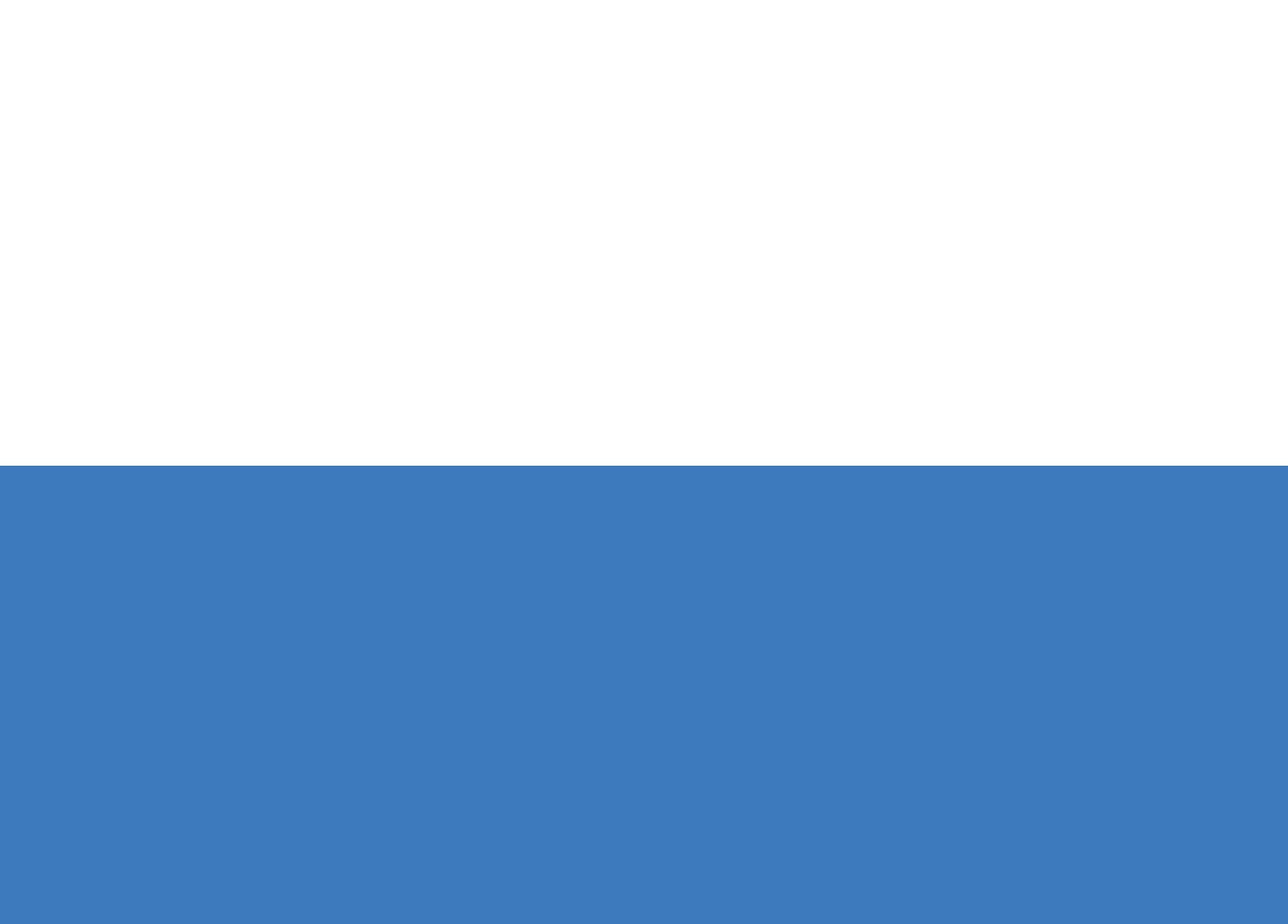Drapeau ZZW Jewish Military Union emblème historique large Żydowski