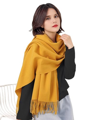 Women's Winter Scarf Fashion Pashmina Shawls and Wraps Soft Warm Long Large Scarf