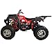 X-PRO 200 Adult ATV with Automatic Transmission w/Reverse, Big 23