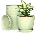 Homeuouz – Homeuouz 5 Packs Blumentopf mit Bewässerungssystem, 20.3cm P