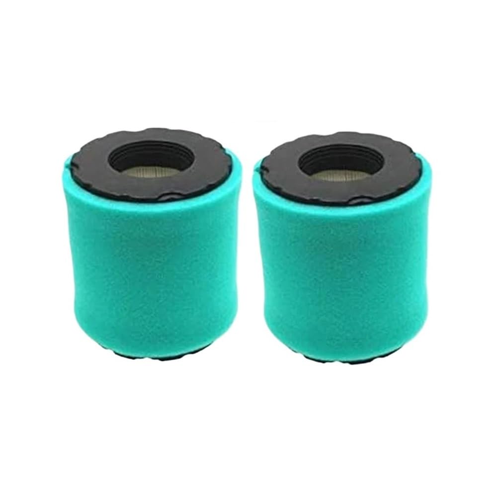 Filtres purificateur d'air tondeuse 798897 bloquant la poussière de tonte lot de 2