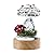 TENGFENG Crystal Mushroom Night Light - 7 Color Change USB Powered Glass Mushroom&Ladybug Lamp Decor Figurine with Wooden LED Base for Bedroom Table Bedside Mushroom Shaped Lamp with Gift Box