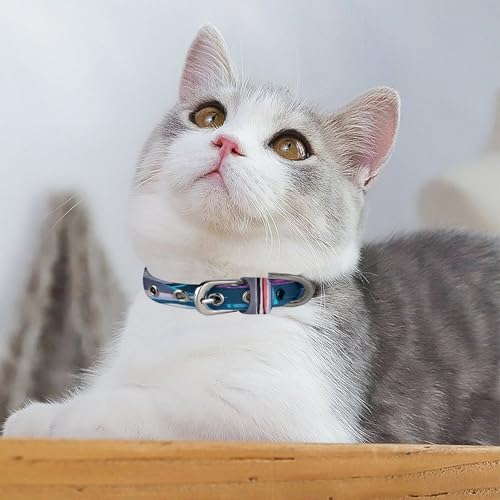 Collar de cachorros ideal para paseos diarios y juegos E-Wolf 6