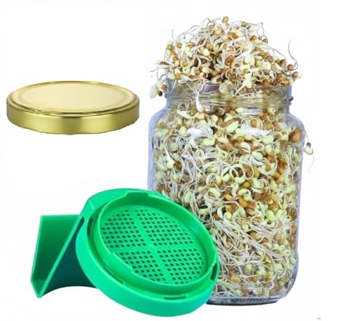Image of Diablos Sprouts Maker Jar BPA-Free and Reusable Sprout Maker Glass Jar with Metal Lid, Sprouting 300-Hole Mesh Lid for Airflow for All Seads, Beans, Lentils and Microgreens (1000ml - Pack of 1)