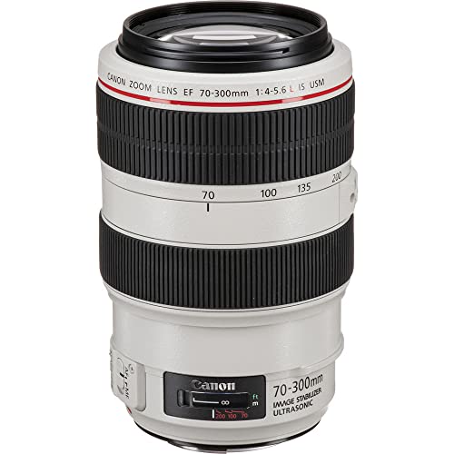 Objectif Canon EF Fonction Zoom 70 mm 300 mm f4.0 5.6 IS USM Canon EF - vue 4
