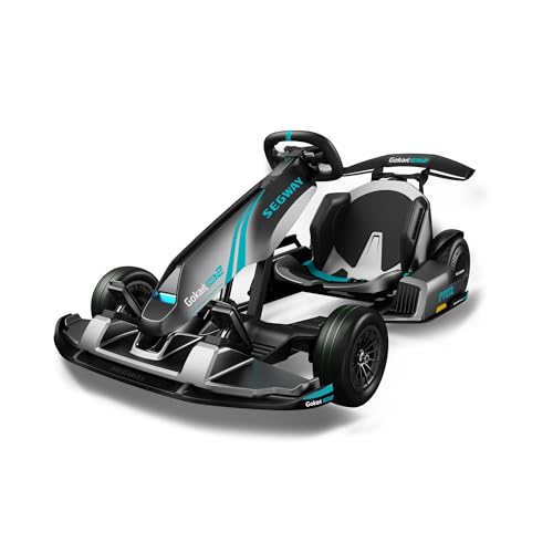 Segway-Ninebot GoKart PRO 2 - Elektrisches GoKart für Erwachsene und...