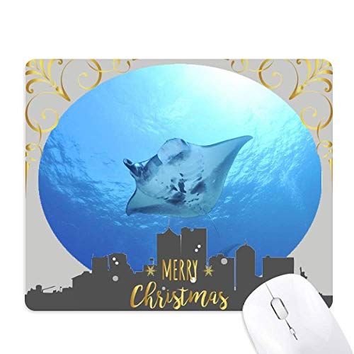 I[VECEXP[gȊw͎R̎ʐ^ NX}XCũS}EXpbh