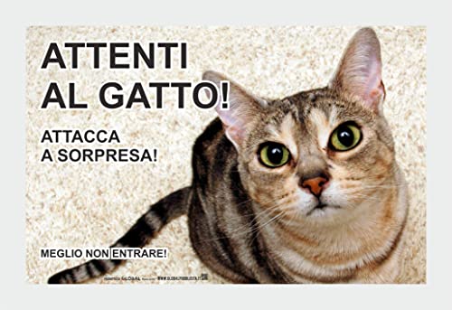 NEW CARTELLO SEGNALETICO - Attenti al gatto, ATTACCA A SORPRESA - Adesivo Extra Resistente, Pannello in Forex, Pannello In Alluminio (ADESIVO 20X31 CM)