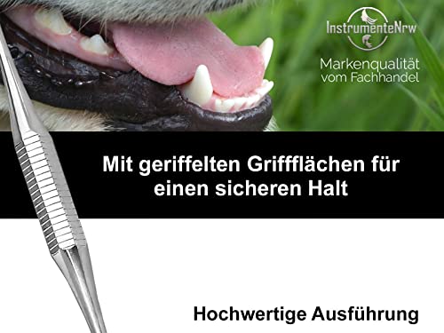 Mini Hunde Zahnsteinkratzer Zahnsteinentferner Haustier Zahnpflege Zahnreiniger für Tiere Zahnbürsten-Alternative aus Edelstahl