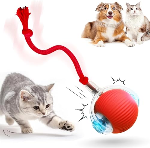 HOIDOKLY 2025 Neu Interaktiver Automatenball, Interaktives Rollballspielzeug, Wiederaufladbar, Aktiv, Katze, Hund, Haustier, Innenspielzeug, Langlebige und Sichere Materialien (Rot) HOIDOKLY 2025 Neu Interaktiver Automatenball, Interaktives Rollballspielzeug, Wiederaufladbar, Aktiv, Katze, Hund, Haustier, Innenspielzeug, Langlebige und Sichere Materialien (Rot)