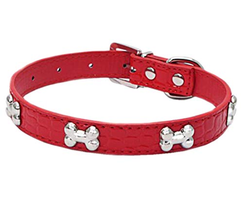 Maiitmor ybgp ybgJ[ p փlbNX ` 5 R S S U (L: 51*2.5 CM, bh)