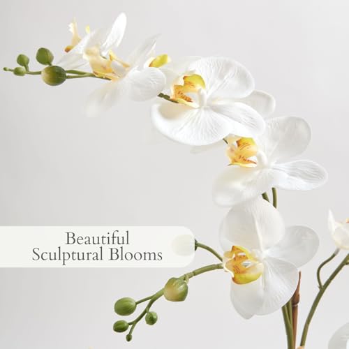 Image of CG Hunter Faux Orchid Plant w /Succulents, Premium Artificial Indoor Flower Display Stands 24 inch w /Beautiful Sculptural Blooms and Succulents That Lasts Forever, Grey Planter Pot Included