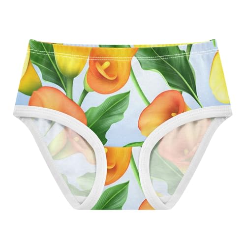 Cotton Girls Underwear Toddler Orange Calla Lilies Green Floral Girl Panties Cute Artistic Briefs Girls Undies 2t