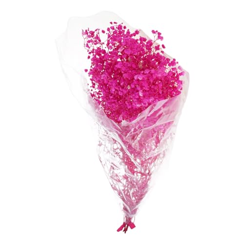 Flor natural de aliento de bebé seca 50 cm para decoración miniatura 1