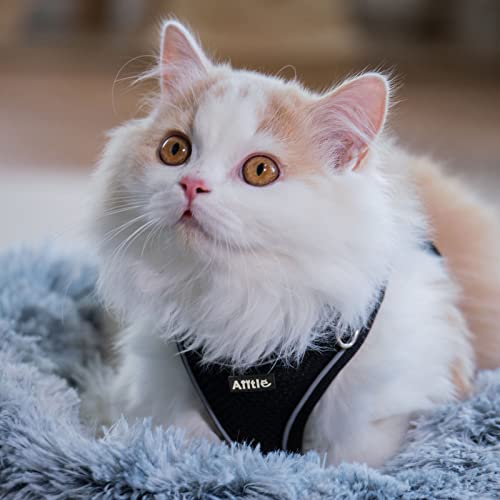 AIITLE Dog Harness, No-Pull Cat Harness with a Leash, Adjustable Reflective Dog Vest, Cat Harness Escape Proof - Image 3