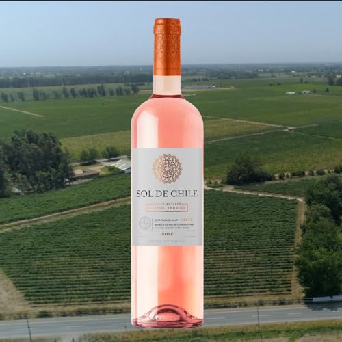 Vinho Rosé Chileno Sol de Chile Varietal 750ml