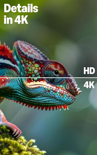 Amazon Ember 4-Serie mit Fire TV, 43-Zoll-Smart-TV in 4K Ultra-HD mit Alexa-Fernbedienung+ Fire TV Soundbar, 2.0-Lautsprecher mit DTS Virtual:X und Dolby Audio sowie Bluetooth-Unterstützung – Bild 7