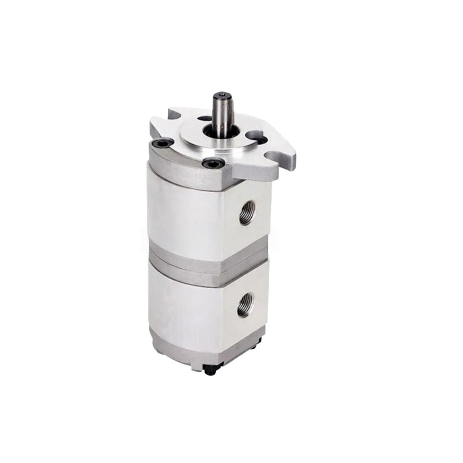 Doppelzahnradpumpe HGP-11A-F6/6R HGP-11A-F8/8R 220V Hydrauliköldruckpumpe(HGP-11A-F5-5R)