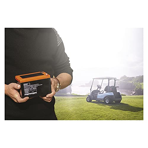 EMOS Onderhoudsvrije loodaccu 12 V 15 Ah cyclusbestendig, tractie-accu voor e-bike, elektrisch voertuig, kinderauto… - Afbeelding 8