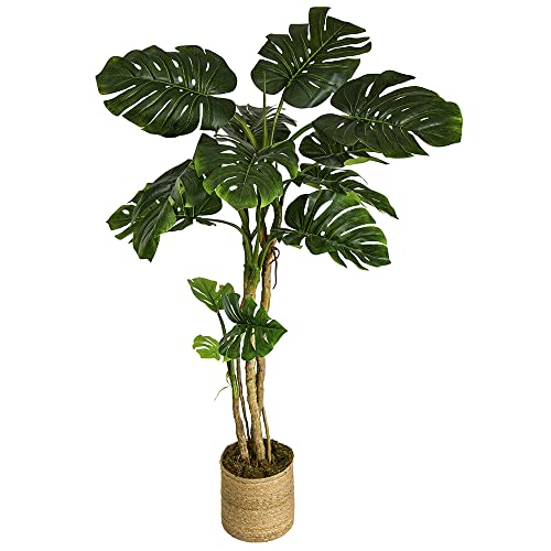 Maia Shop Philodendron Artificial, Ideal para Decoración de Hogar, Planta Artificial, Árbol (180 cm)