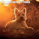 West Highland White 2026 Traditioneller Kalender