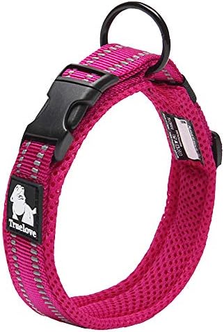 Truelove Dog Training Collar TLC5011 Reflective Premium Buckle Nylon Webbing Pet Dog Collars,High Grade Nylon Webbing No Choke Basic Collars Now Available (S, Black)