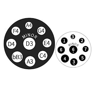 Tambour de langue en acier Handrum Handrum en D Mineur 9 Notes (D3 A Bb C D E F G A) Helmholtz-Resonator Chakra Drum, 22… - Les Beatles, Paul McCartney, John Lennon, RIngo Starr, George Harrison Tambour de langue en acier Handrum Handrum en D Mineur 9 Notes (D3 A Bb C D E F G A) Helmholtz-Resonator Chakra Drum, 22… – Image 3