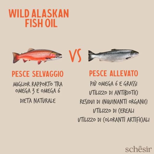 Grizzly Wildlachsöl aus Alaska 500ml Lachsöl