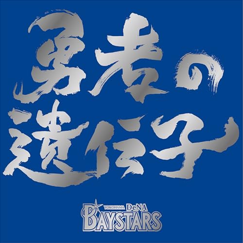 Yokohama DeNA Baystars Supporters