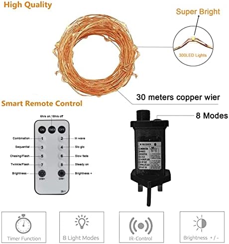 Chipark Plug in Fairy String Lights, 30M 300 LED Copper Wire Lights Mains Powered 8 Mode with Remote Timer Micro Firefly Lights for Bedroom Garden Wedding Party Christamas Decoration(Warm White)
