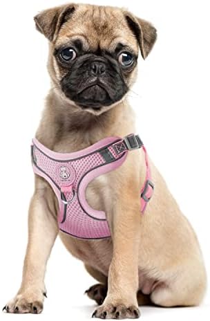 No Pull Dog Harness Small Dogs, Soft Mesh Reflective Breathable Step-In Dog Cat Harness and Lead Set for Puppy Cat Pet Vest with Leash Adjustable for Outdoor Walking, Training XS Blue