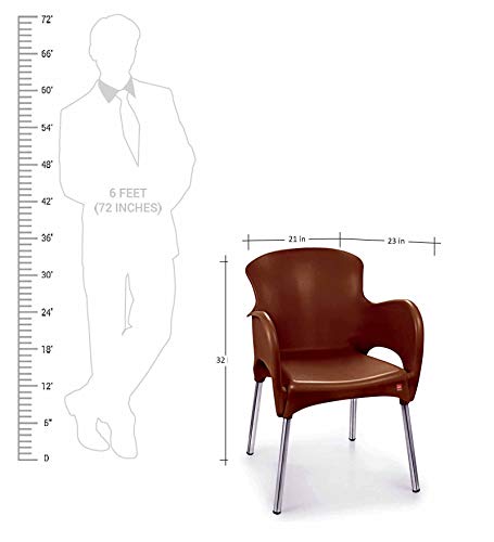 Image of CELLO Xylo Chair (Ice Brown, Set of 6) | Strong and Durable | Easy to Clean | Chair for Living Room, Bed Room, Kitchen, Office Room, Outdoor | 3 Years Warranty