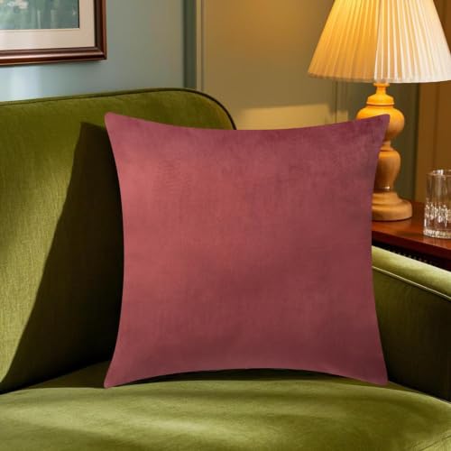 Throw Pillow Covers Pack of 2, 19.6x19.6 Shrink-Resistant Pilling-Resistant Fade-Resistant Soft Pillow Cases with Zipper,Machine Washable Wrinkle-Resistant Home Decor for Sofa Living Room - image 3