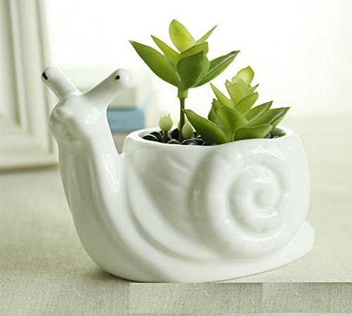 Somarke Vaso Per Pi Grasse A Forma Di Coccodrillo In Resina - Decorazione Casa Stile Cartoon