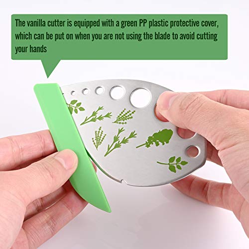 Herb Cutter Stripper 9 Holes-Stainless Steel-Kitchen Gadgets for Oregano, Rosemary, Thyme, Tarragon, Even Kale, etc.-Both Peeling and Cutting-1 Pack