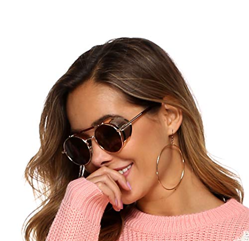 FEISEDY Steam Punk Sunglasses for Men Women Side Shield Round Steampunk Vintage Glasses Shades B25184