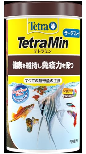 eg (Tetra) eg~ [Wt[N 80g NEW Mы̎H LCۂ H׎ct Mы GT t[N