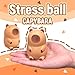 Capybara Squishy Stress Balls for Kids and Adults, Squishy Capybara Dough Ball Squeeze Sensory Fidget Toys Capybaras Toy, Party Favors and Classroom Prizes