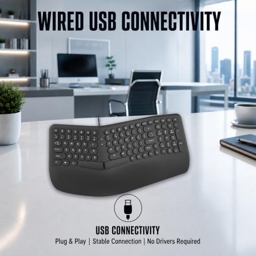 Image of ANT Master 70 Wired USB Keyboard, Full-Size 101-Key Computer Keyboard with FN + 12 Multimedia Shortcut Keys, Smooth Rubber Dome Keys, Anti-Splash Design, 5 Million Keystrokes, Windows & Linux Black