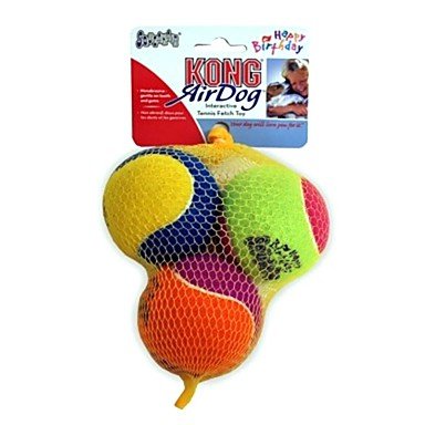 kong medium squeaker ball